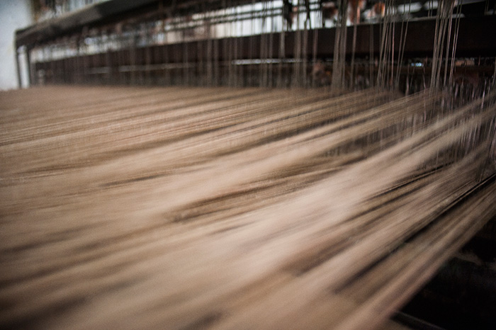 A história do algodão colorido da Paraíba