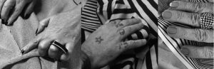 hands-creatives-organic-cotton-color-brazil