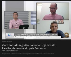 embrapa_algodao_colorido_20_anos